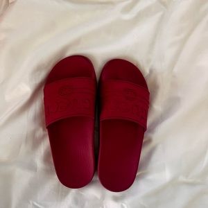 Gucci slides. Size 6